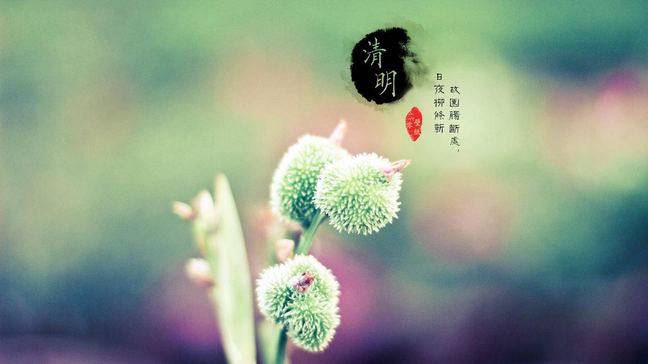快手刷赞网在线涨粉平