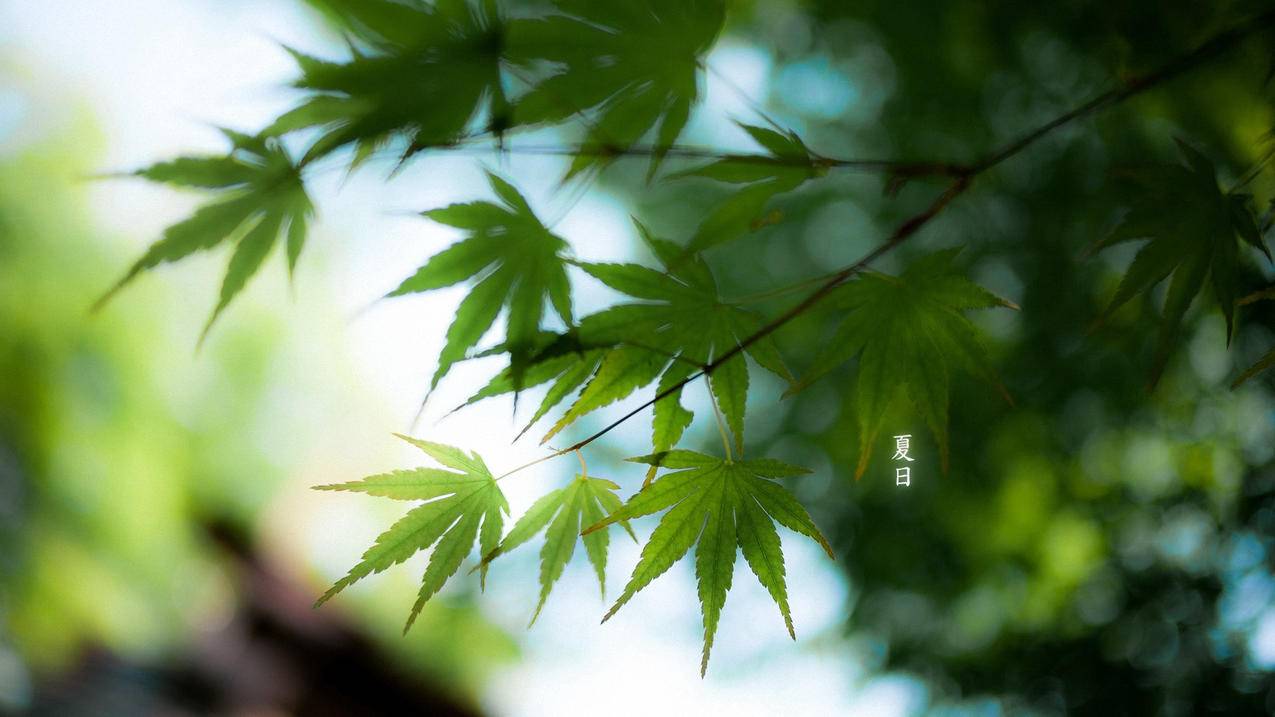挽风空间自助下单平台,快手刷在线人气软件